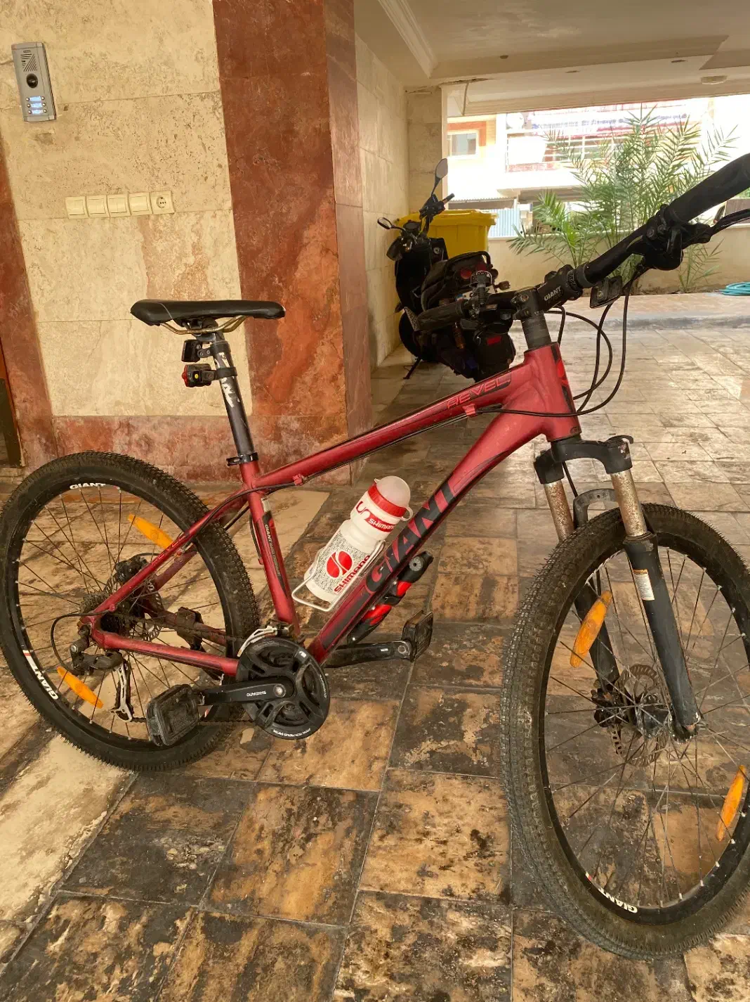 دوچرخه giant|دوچرخه، اسکیت، اسکوتر|کیش, |دیوار