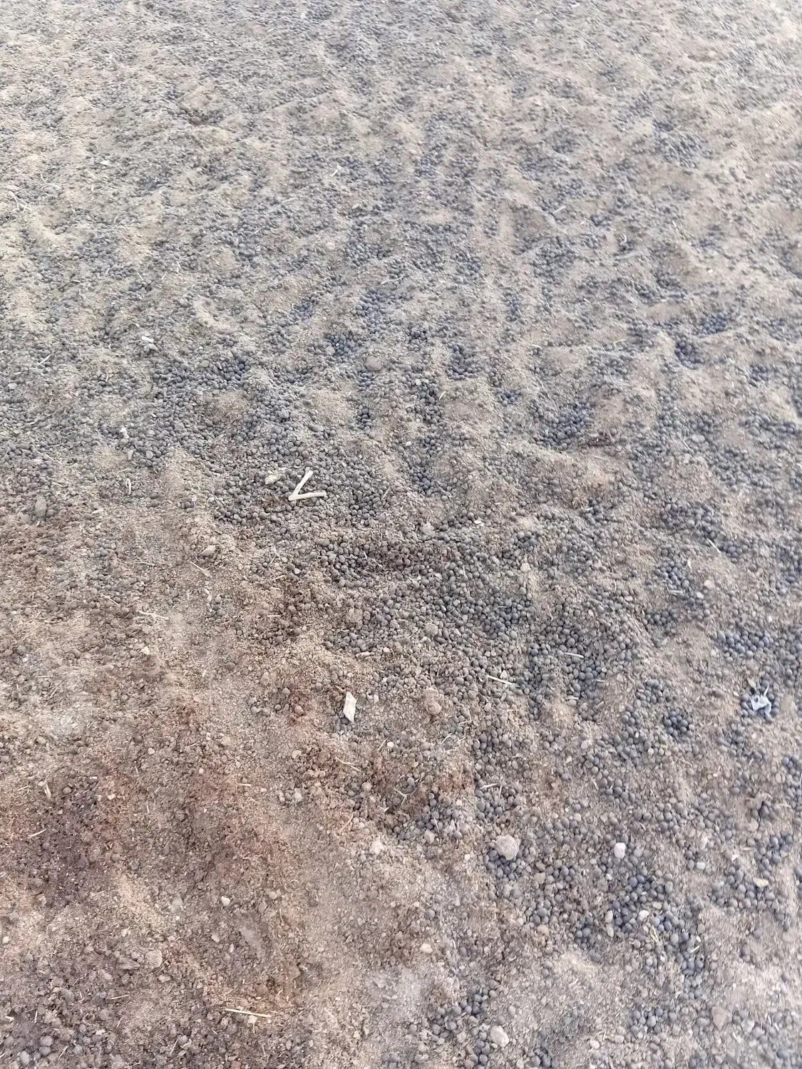 کودگوسفندی|خدمات باغبانی و درختکاری|کرج, شهر صنعتی|دیوار