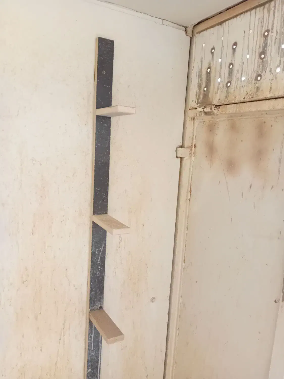 میخ سوراخ کبوتر|لوازم جانبی حیوانات|رفسنجان, |دیوار