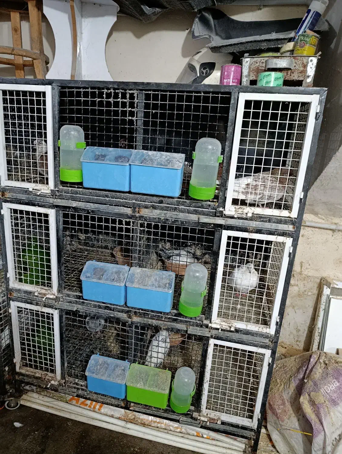 یک عدد جفتگاه 6تایی در حد نو|لوازم جانبی حیوانات|رشت, حومه رشت|دیوار