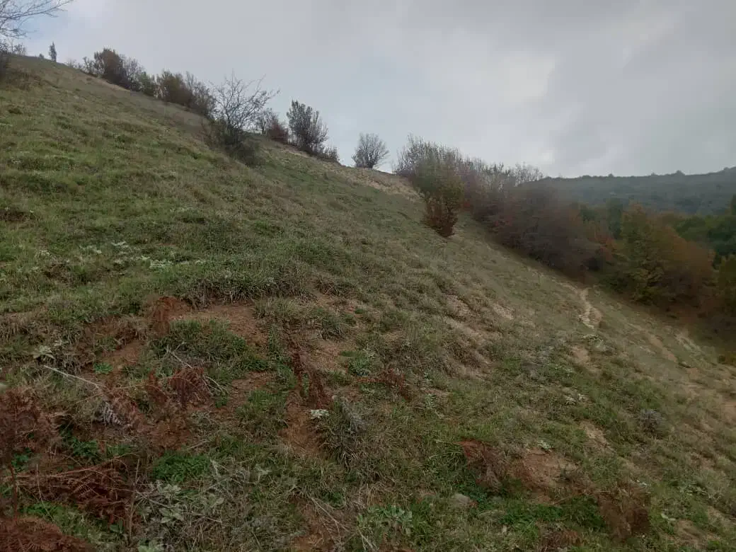 مجموعه گلستان ۳سرکا کلاردشت|مشارکت در ساخت املاک|کلاردشت, |دیوار