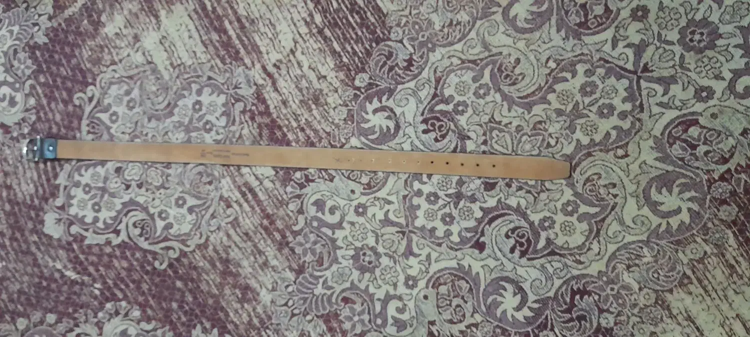 کمربند|کیف، کفش، کمربند|بجنورد, |دیوار