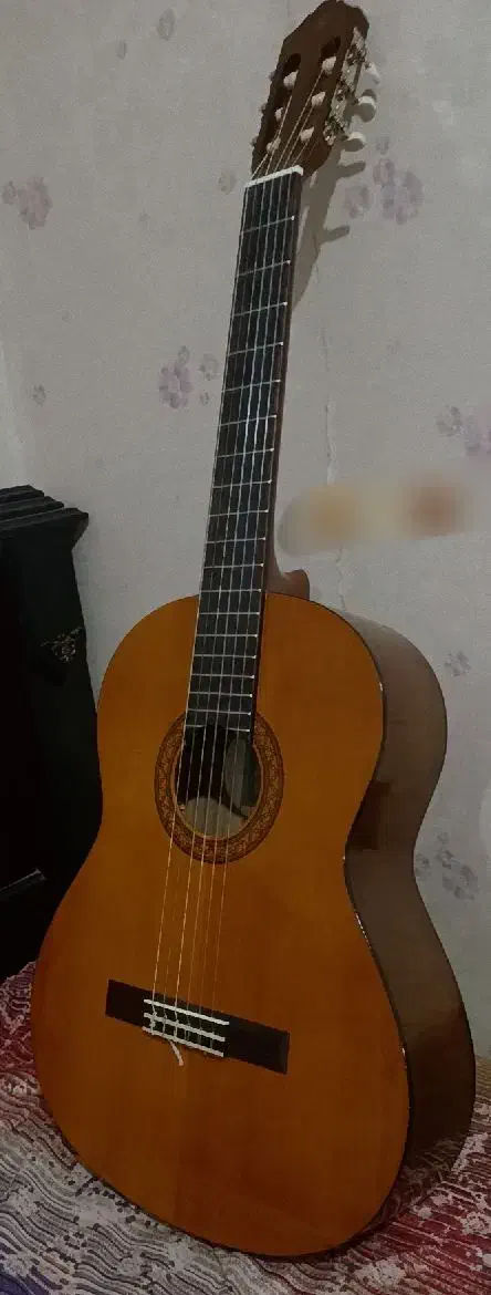 گیتار|گیتار، بیس، امپلیفایر|محمدیه-قزوین, |دیوار