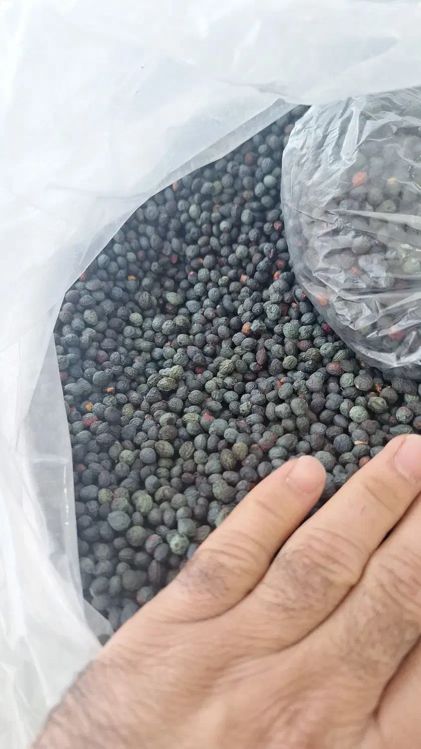 کلخنگ سبز|عمدهفروشی|میمند, |دیوار