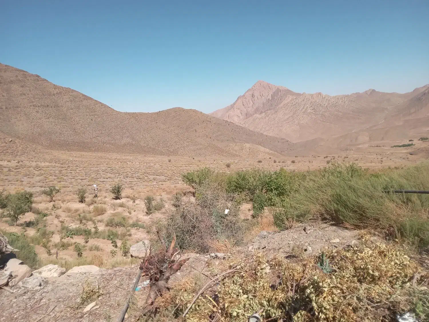 زمین مسکونی  شهر جوپار|فروش زمین و ملک کلنگی|نگار, |دیوار