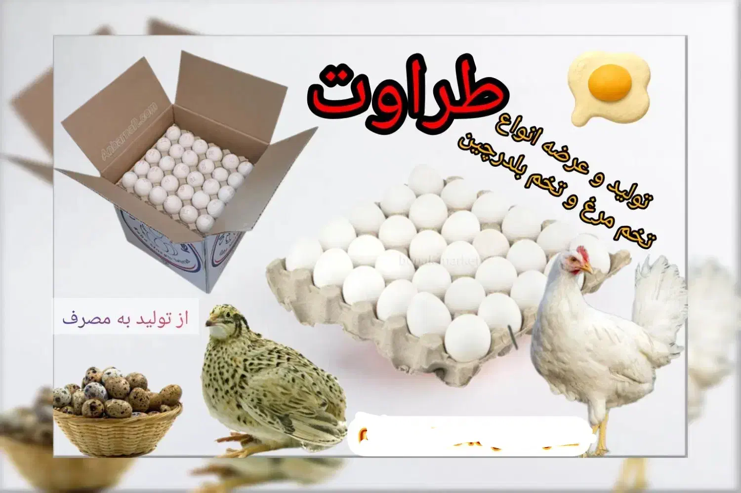 تخم مرغ طراوت|خوردنی و آشامیدنی|خمینیشهر, |دیوار