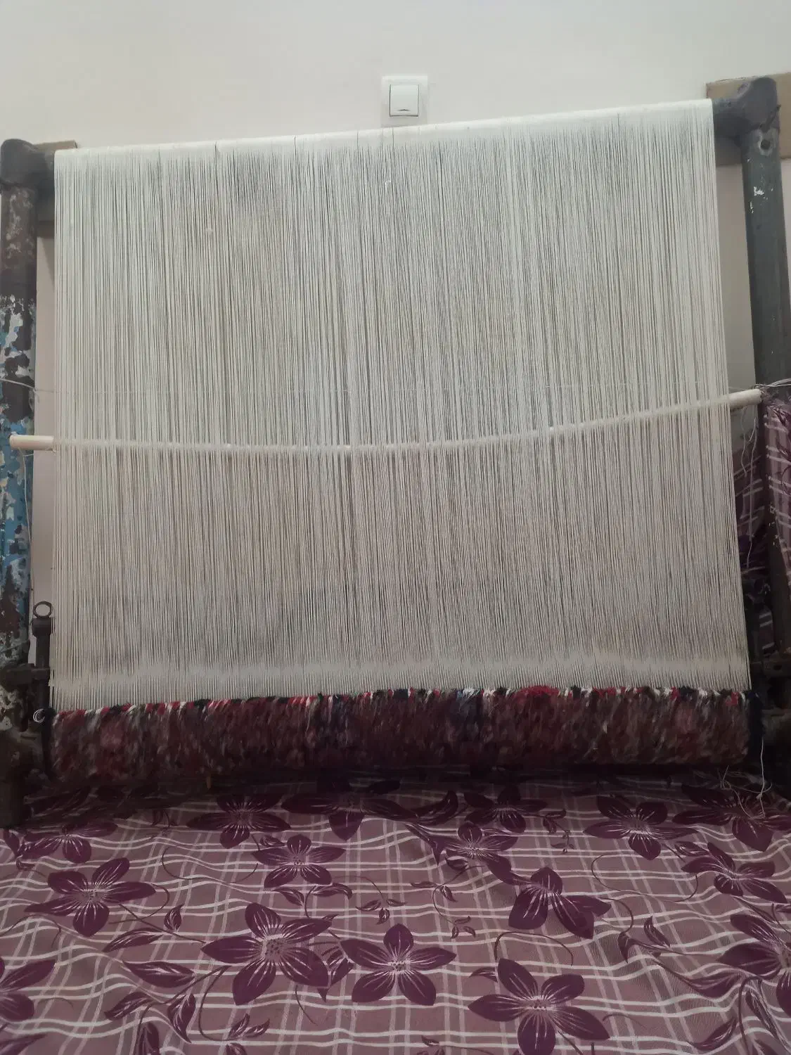 فرش زرنیم|فرش|زنجان, |دیوار