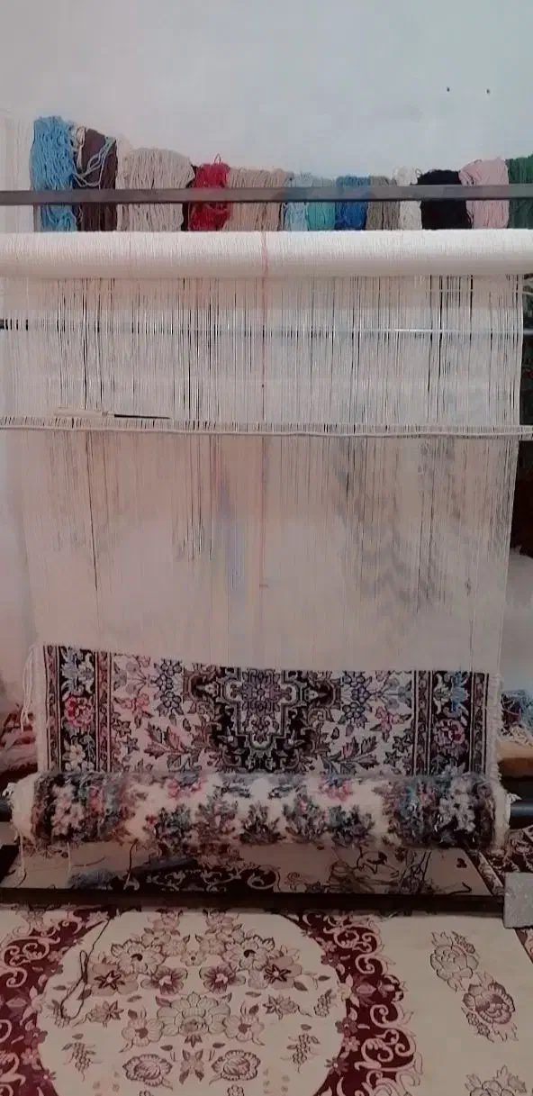 قالی فروش|فرش|یزد, |دیوار