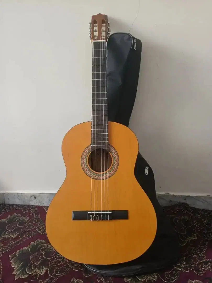 گیتار|گیتار، بیس، امپلیفایر|اصفهان, باغ فردوس|دیوار