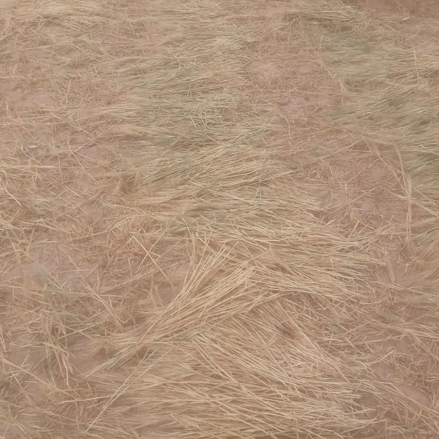 یونجه خشک|خدمات باغبانی و درختکاری|سرداران, |دیوار