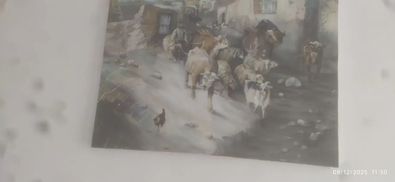 نقاشی جهت فروش در دبی و استانبول|تابلو، نقاشی، عکس|بوشهر, |دیوار