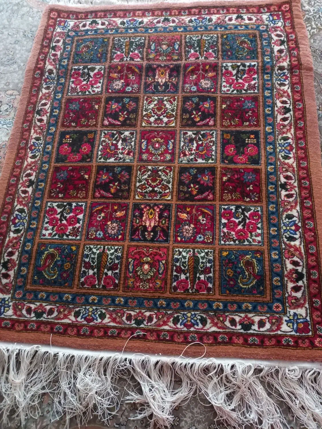 قالی ۵تایی شهرکردی|فرش|نجف‌آباد, امام خمینی|دیوار