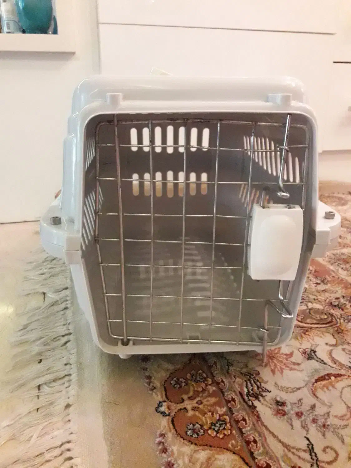 باکس حمل گربه و سگ|لوازم جانبی حیوانات|تهران, قیطریه|دیوار