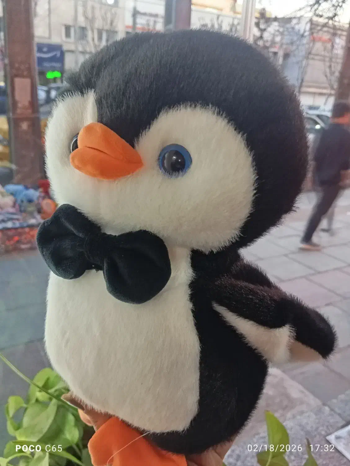 پنگوئن گوگولی|کلکسیون و سرگرمی|کرج, اصفهانی‌ها|دیوار