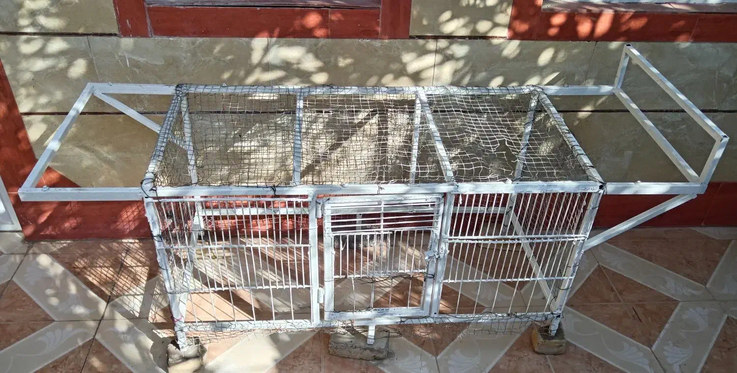 تخت خواب فلزی و قفس|لوازم جانبی حیوانات|برازجان, |دیوار