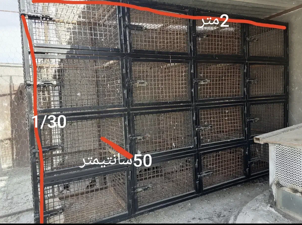 فروش جفتگاه|لوازم جانبی حیوانات|شیراز, شاپورجان|دیوار