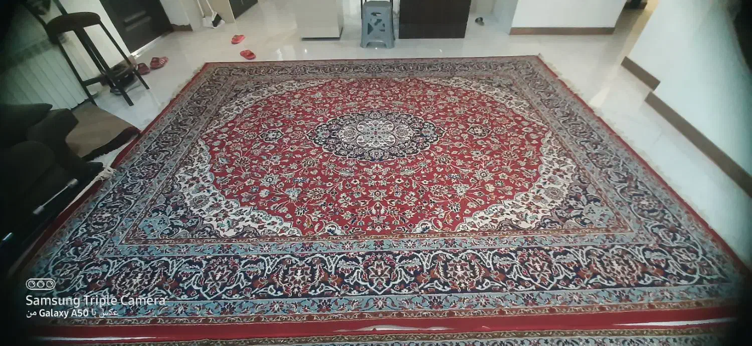 فرش ماشینی|فرش|تنکابن, |دیوار