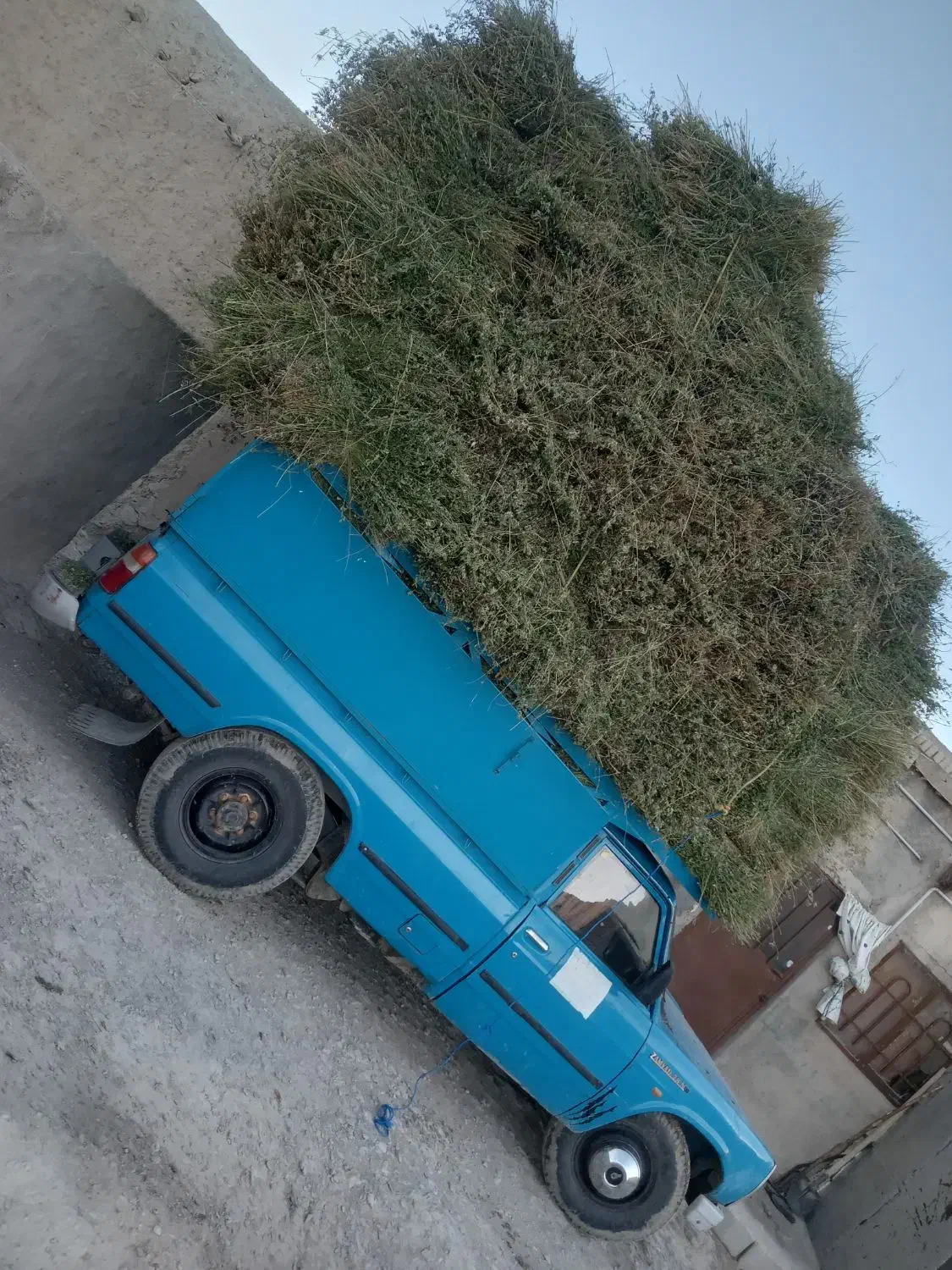 نیسان دیزل مدل ۸۹|خودرو سواری و وانت|قوچان, |دیوار