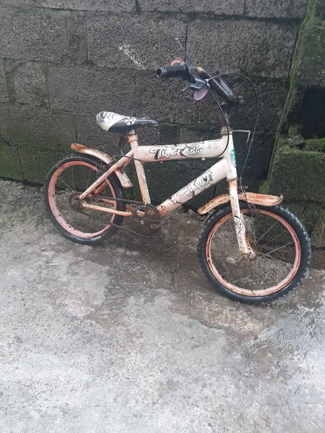 دوچرخه|دوچرخه، اسکیت، اسکوتر|رشت, بازار|دیوار