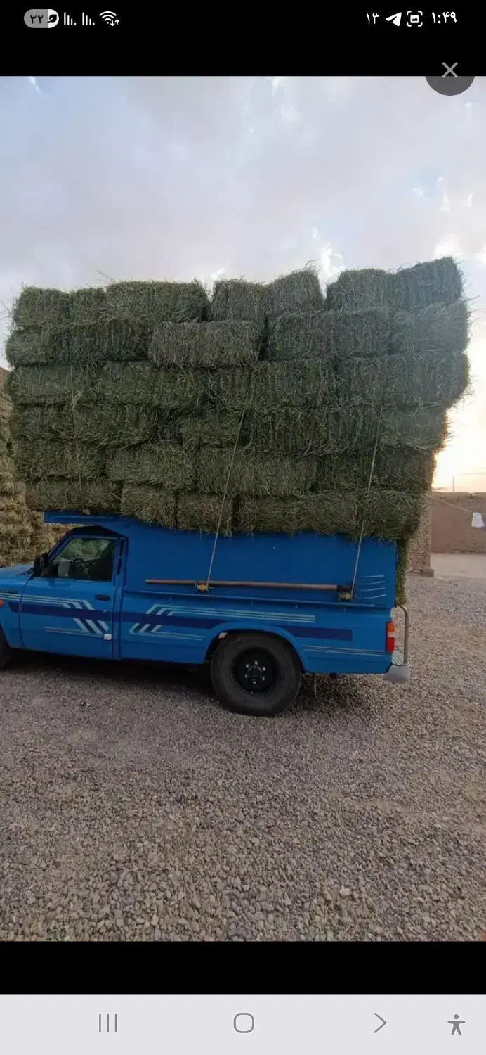 پرس یونجه|خدمات باغبانی و درختکاری|سیاهکل, |دیوار