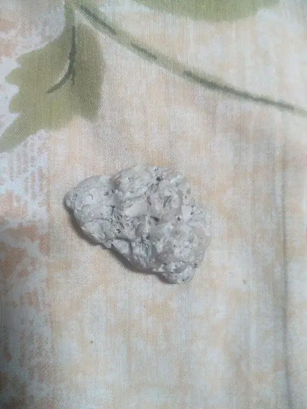 سنگ وشهاب سنگ|کلکسیون و سرگرمی|کرمان, |دیوار