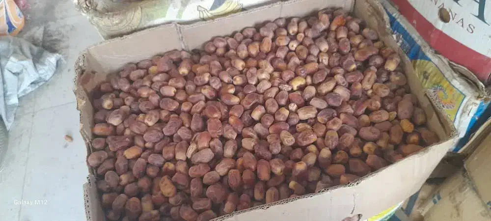 قصب درجه یک عالی|خوردنی و آشامیدنی|وحدتیه, |دیوار