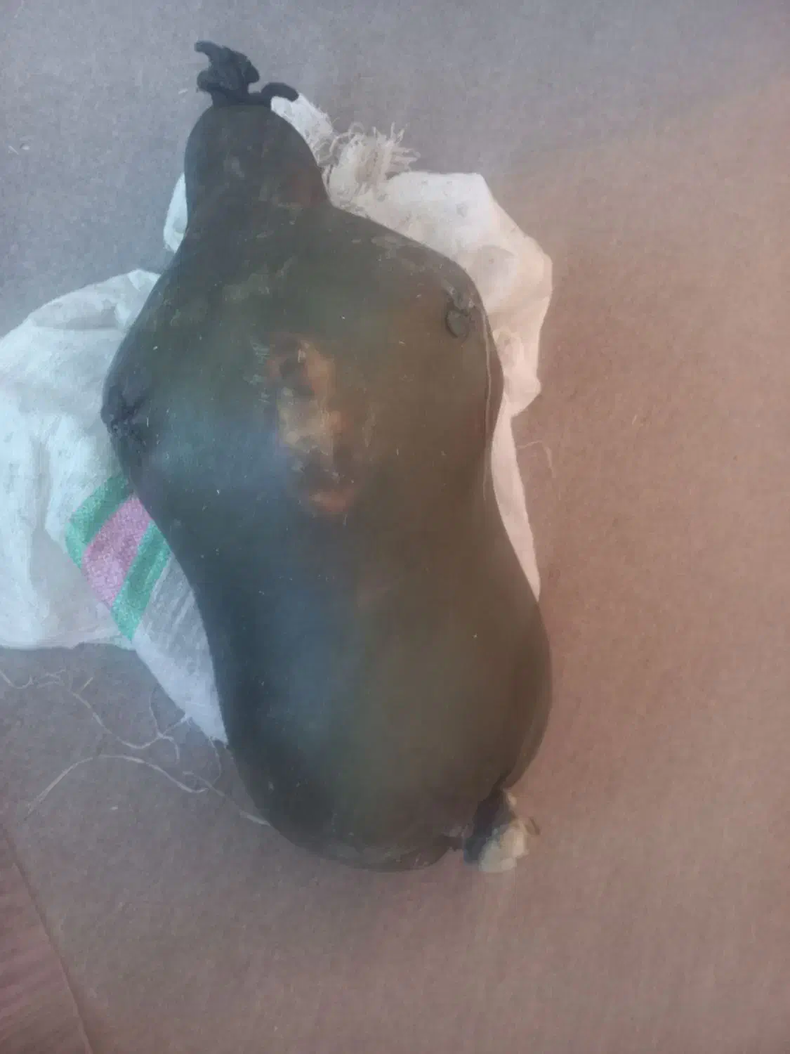 هیزه نو|ظروف نگهدارنده، پلاستیکی، یک‌بارمصرف|نورآباد, |دیوار