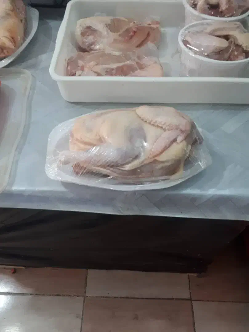 نیمچه خروس|خوردنی و آشامیدنی|رامشیر, |دیوار