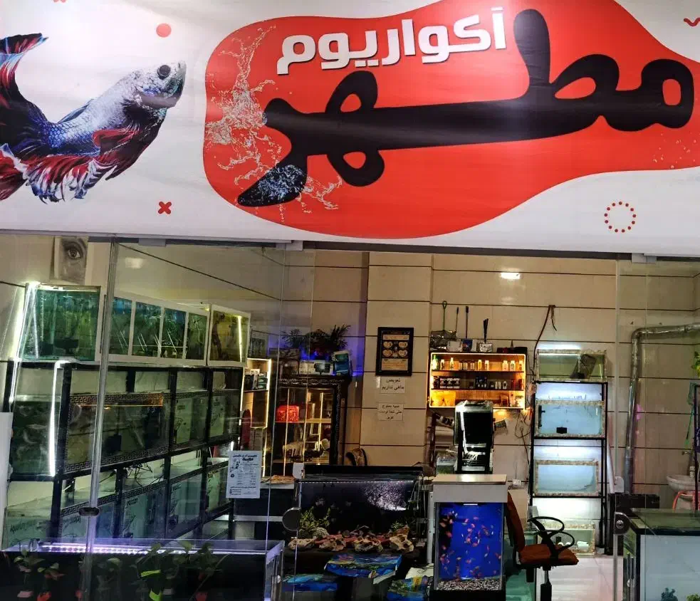 آکواریوم و ماهی|ماهی|باغستان, |دیوار
