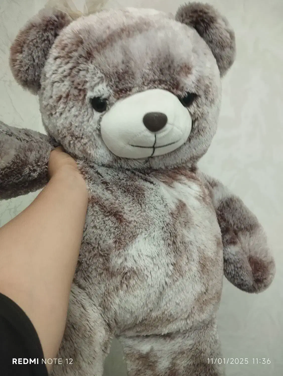 عروسک خرسی تقریبا بزرگ|اسباببازی بچه|تهران, هفده شهریور|دیوار