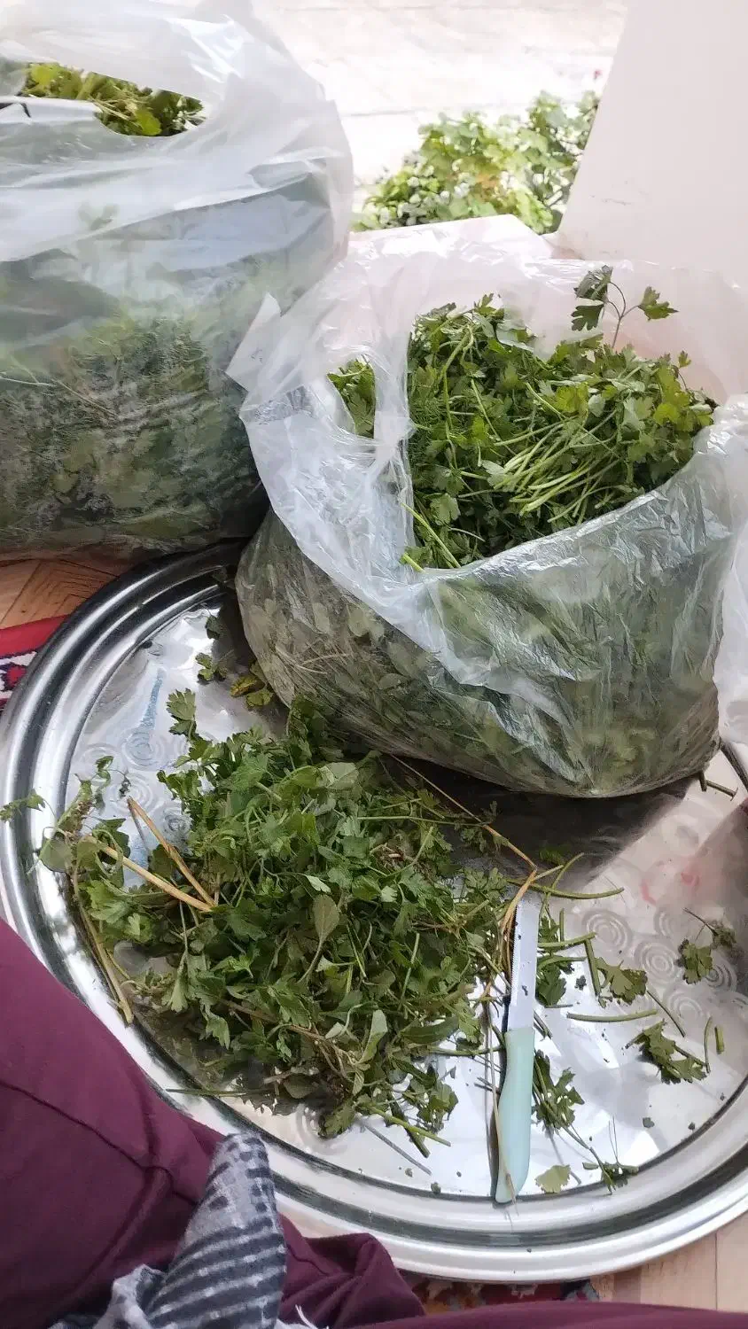 سبزی قورمه پر سرخ کم سرخ|خوردنی و آشامیدنی|نوشهر, |دیوار