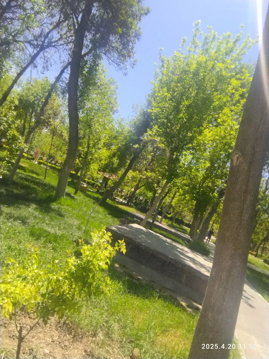 « آموزش رایگان کامپیوتر » شهرک امام کشاورز11پ2|فعالیت داوطلبانه|شیروان (خراسان), |دیوار