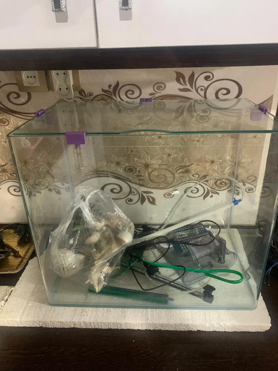 اکواریوم شیشه خم|ماهی|اسلامشهر, شهرک واوان|دیوار