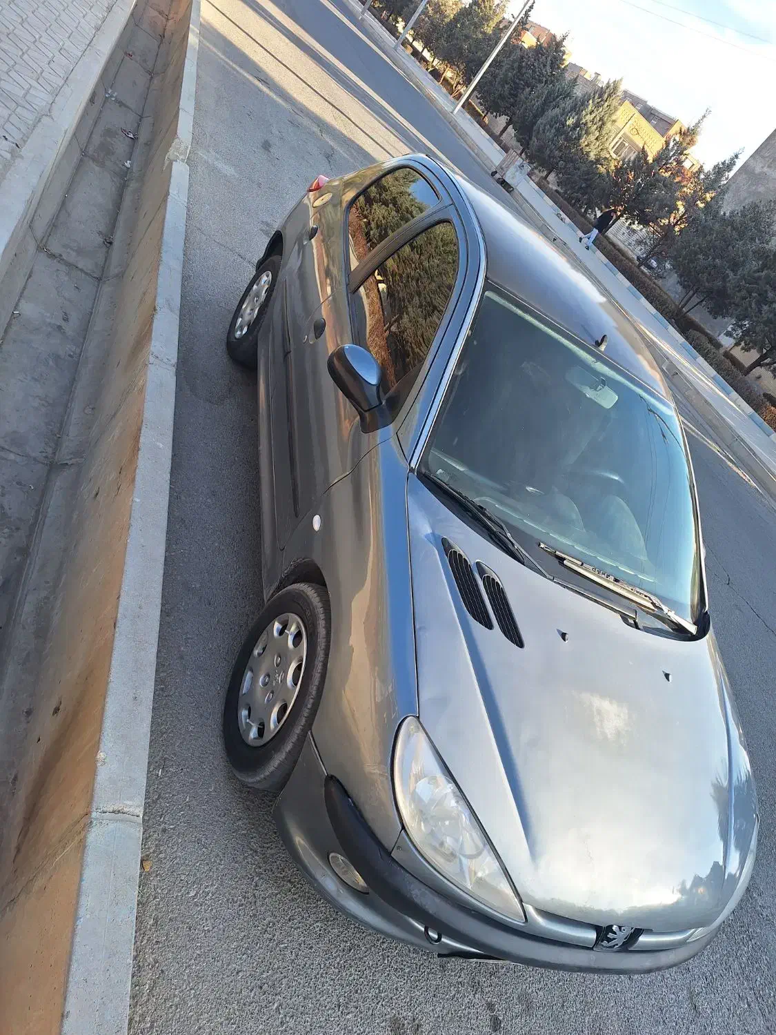 ۲۰۶ خاکستری تیپ 2 مدل 89|خودرو سواری و وانت|فولادشهر, سایت صنعتی کاوه|دیوار