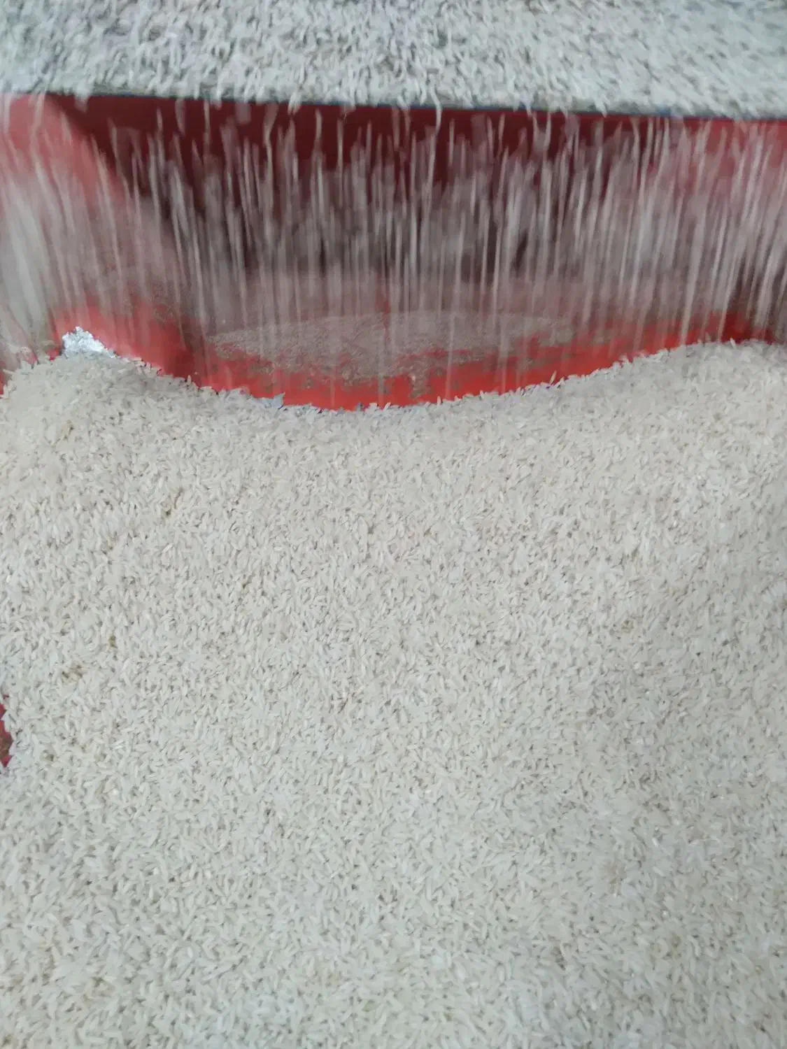 برنج علی کاظمی|خوردنی و آشامیدنی|احمدسرگوراب, |دیوار