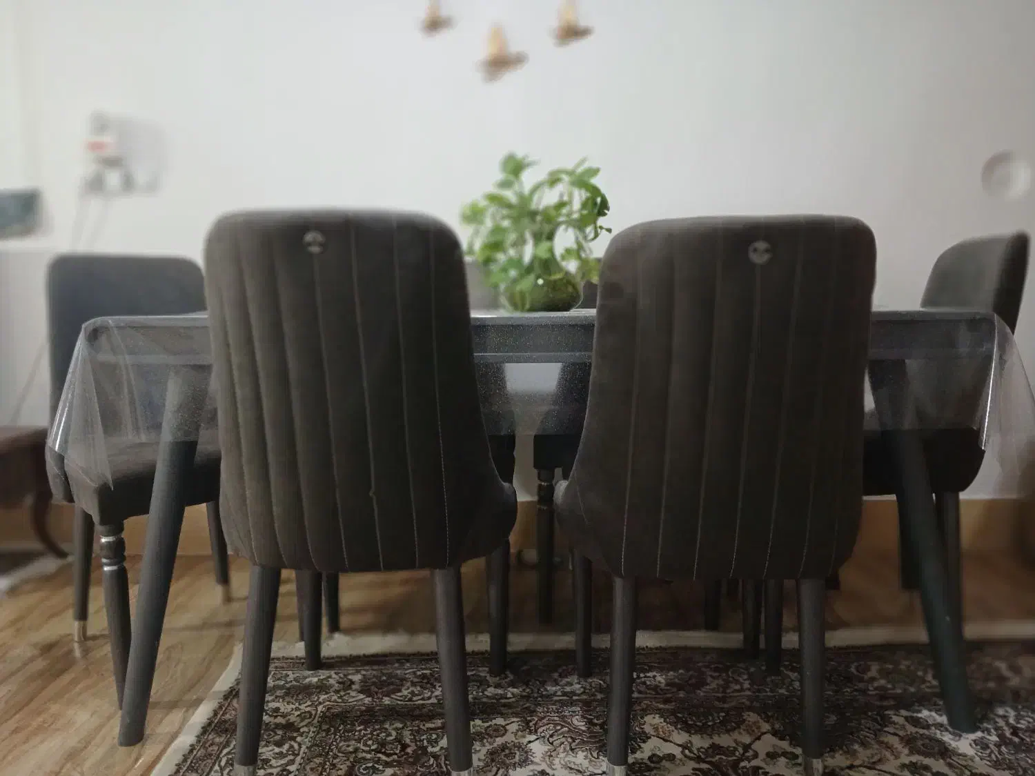 میز و صندلی  ناهار خوری|میز و صندلی غذاخوری|تربت‌حیدریه, بالا ولایت|دیوار