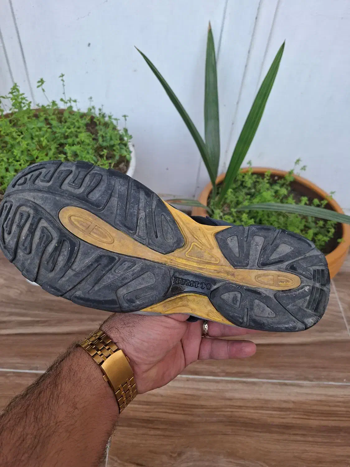 صندل هامتو ارجینال|کوهنوردی و کمپینگ|ایذه, |دیوار