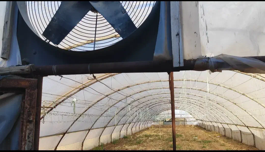 گلخانه|ماشینآلات صنعتی|فیروزه, |دیوار