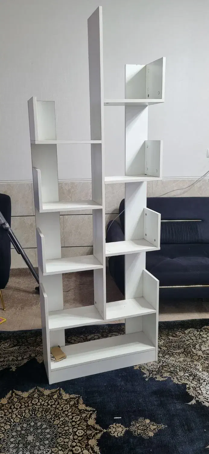 طبقه چوبی|کتابخانه، شلف، قفسههای دیواری|شیراز, شریفآباد|دیوار