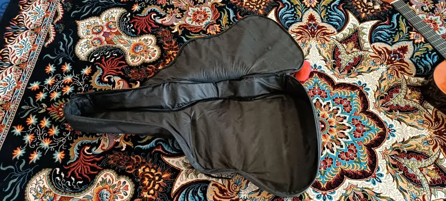 گیتار|گیتار، بیس، امپلیفایر|سرپل ذهاب, |دیوار