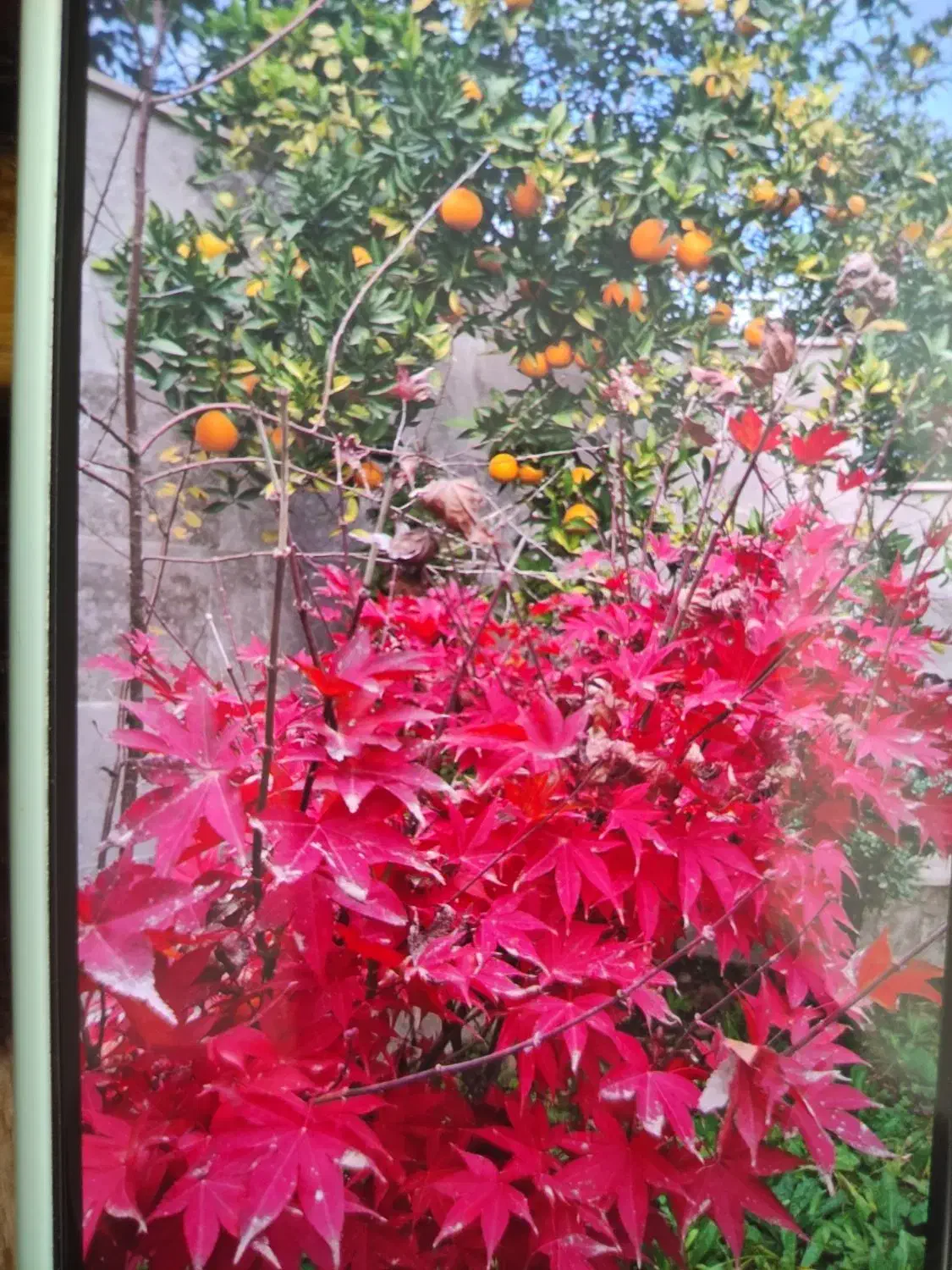 09126828451|سیمکارت|تنکابن, |دیوار