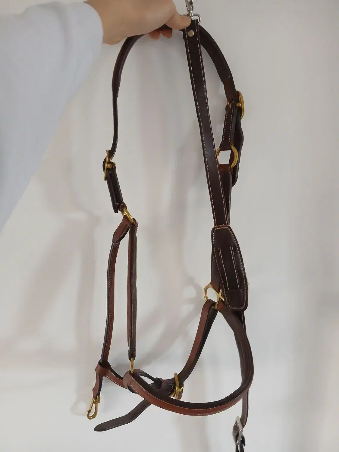 افسار دستی اسب|اسب و تجهیزات اسب‌سواری|ارومیه, |دیوار