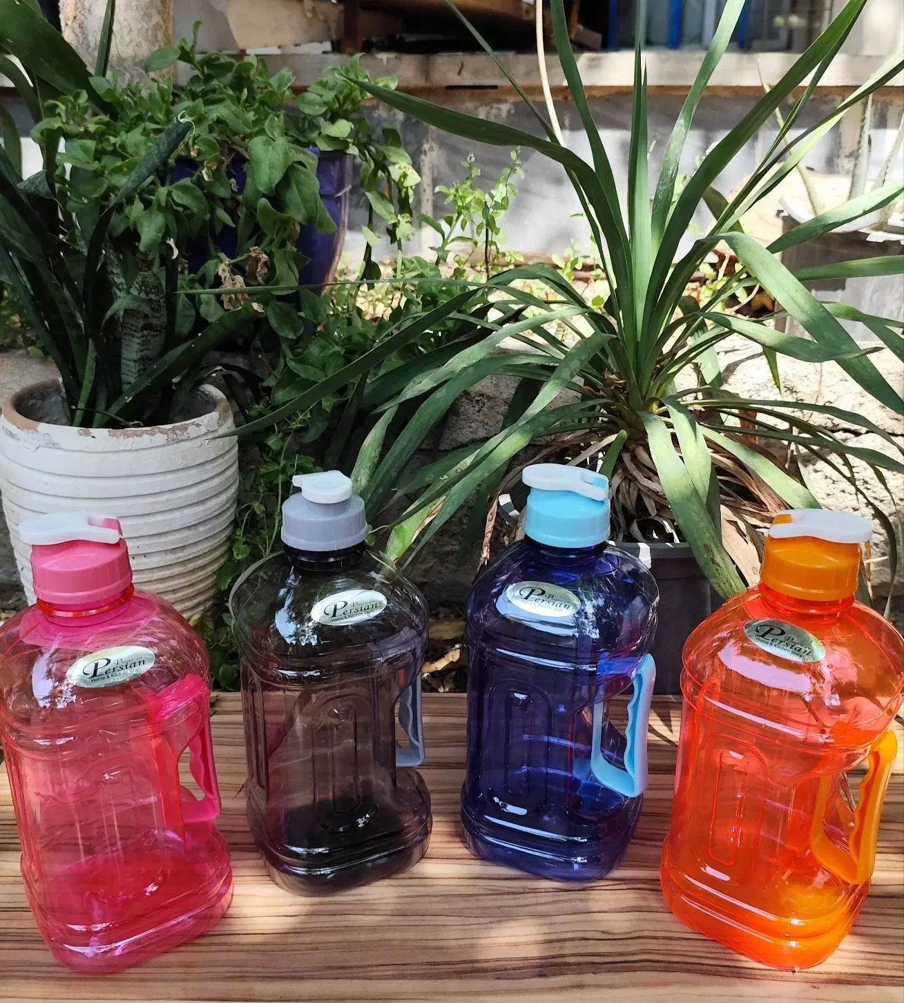 انواع قمقمه و شیکر|ظروف نگهدارنده، پلاستیکی، یکبارمصرف|خاوران, |دیوار