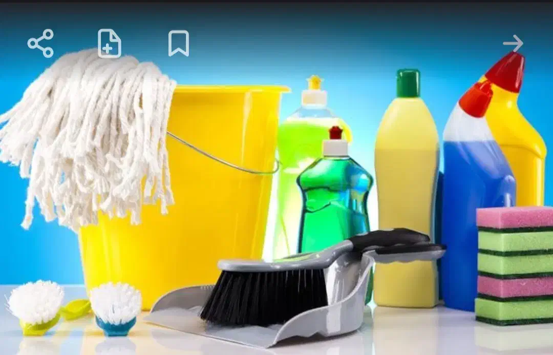 نیازمند نظافتچی خانم|خدمات نظافت|نمین, |دیوار