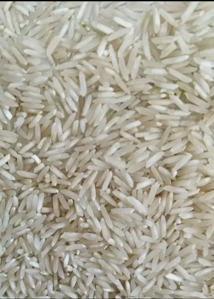 برنج ضیغمی|خوردنی و آشامیدنی|سیروان, |دیوار