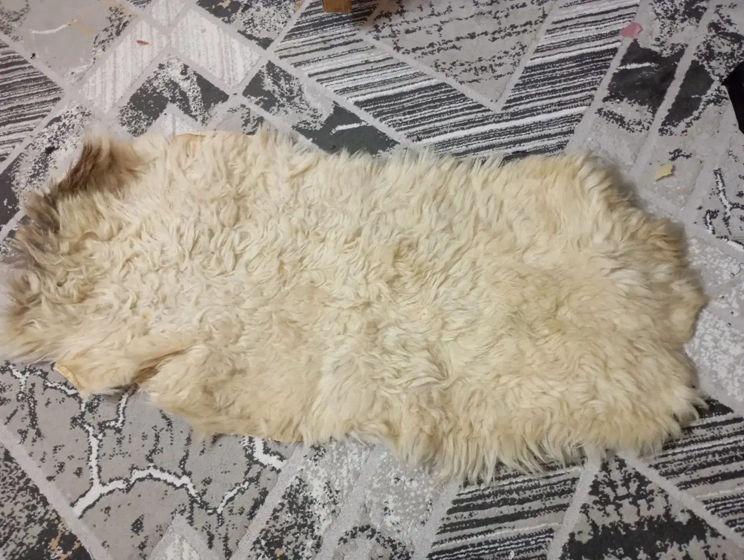 پوست دباغی گوسفند|صنایع دستی و سایر لوازم تزئینی|ری, عباسآباد|دیوار