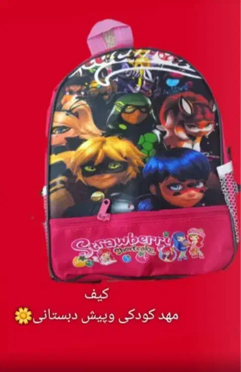 کیف و کفش|کیف، کفش، کمربند|میناب, |دیوار