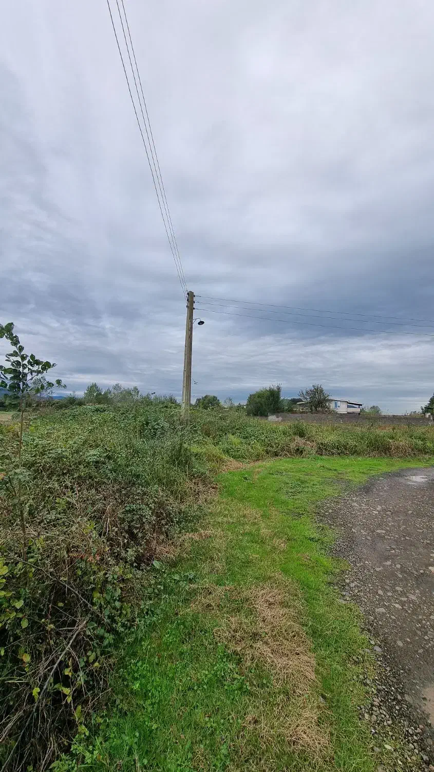 ۱۲ هزار متر با سند/مستعد تغییر کاربری|فروش زمین و ملک کلنگی|املش, |دیوار