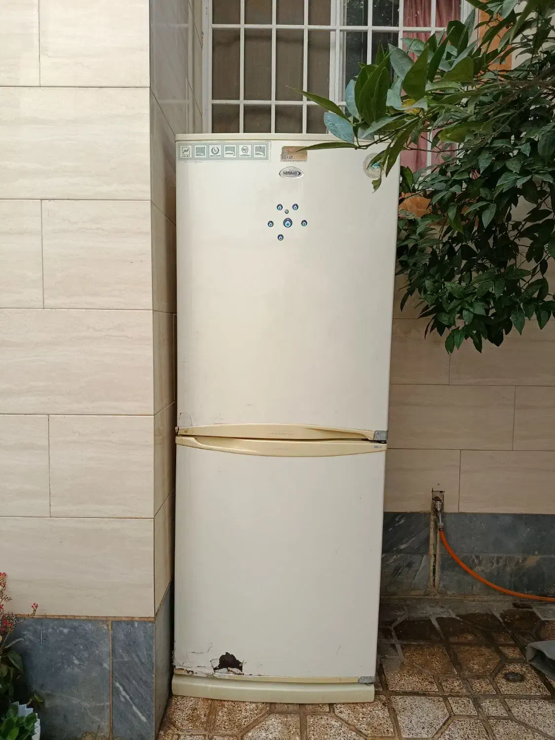 یخچال|یخچال و فریزر|گنبد کاووس, |دیوار