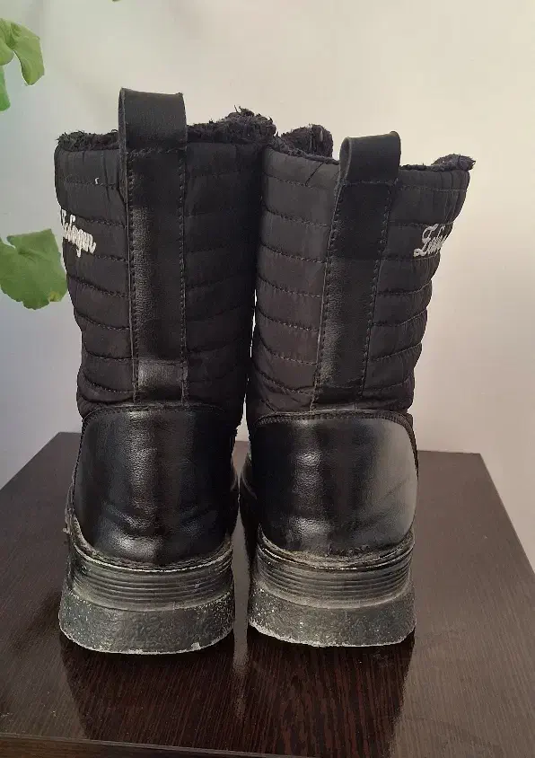 نیم بوت|کیف، کفش، کمربند|بروجرد, |دیوار